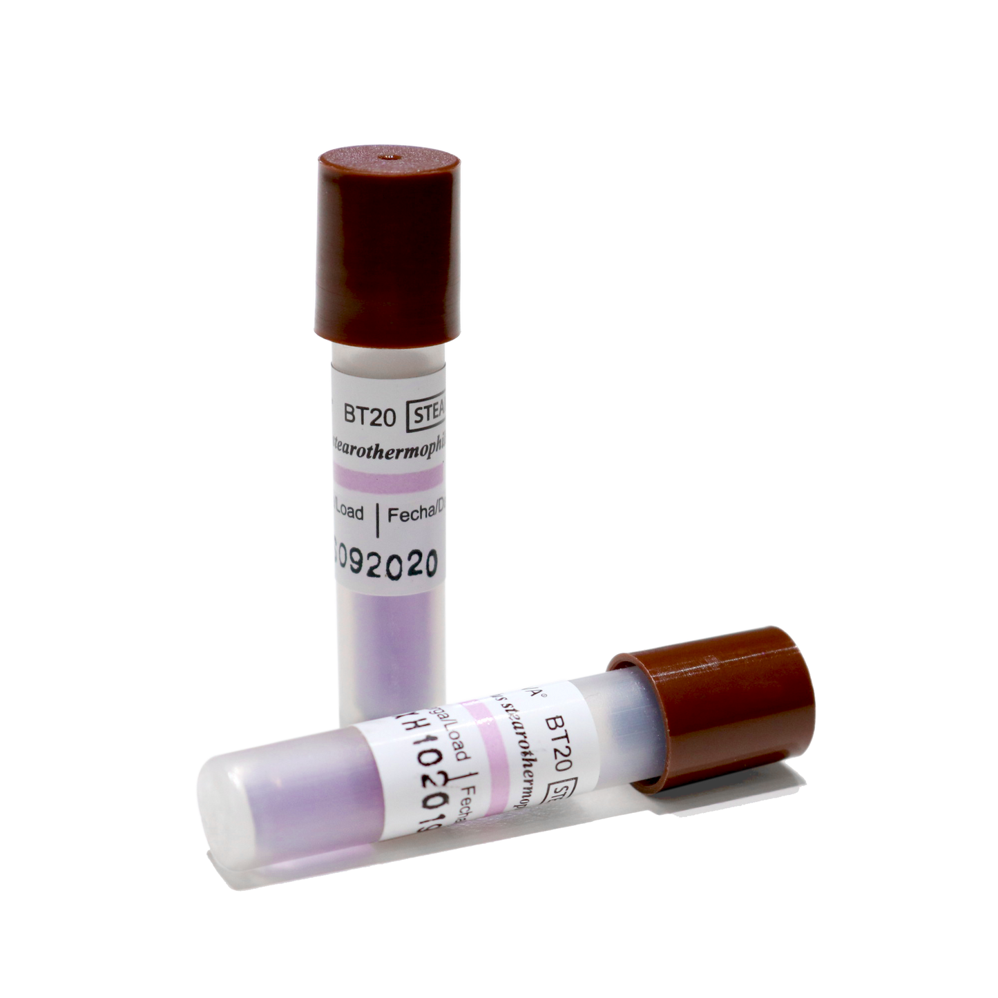 BT20: 100 24Hrs. Indicador Biologico de Esterilizacion por Vapor