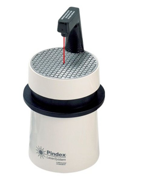 Pindex Elaboracion de Modelos para Laboratorios