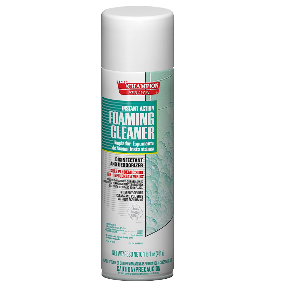 Desinfectante en Espuma (481g)