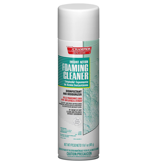 Desinfectante en Espuma (481g)