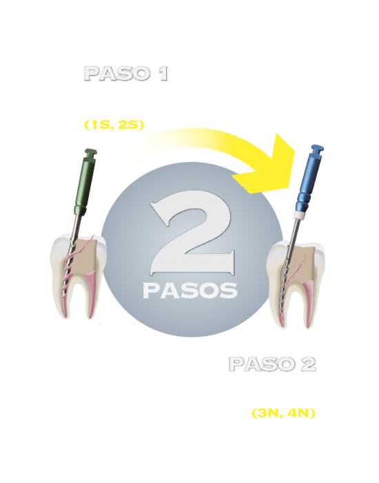 Limas Gpr: Limas De Retratamiento (Caja C/4)