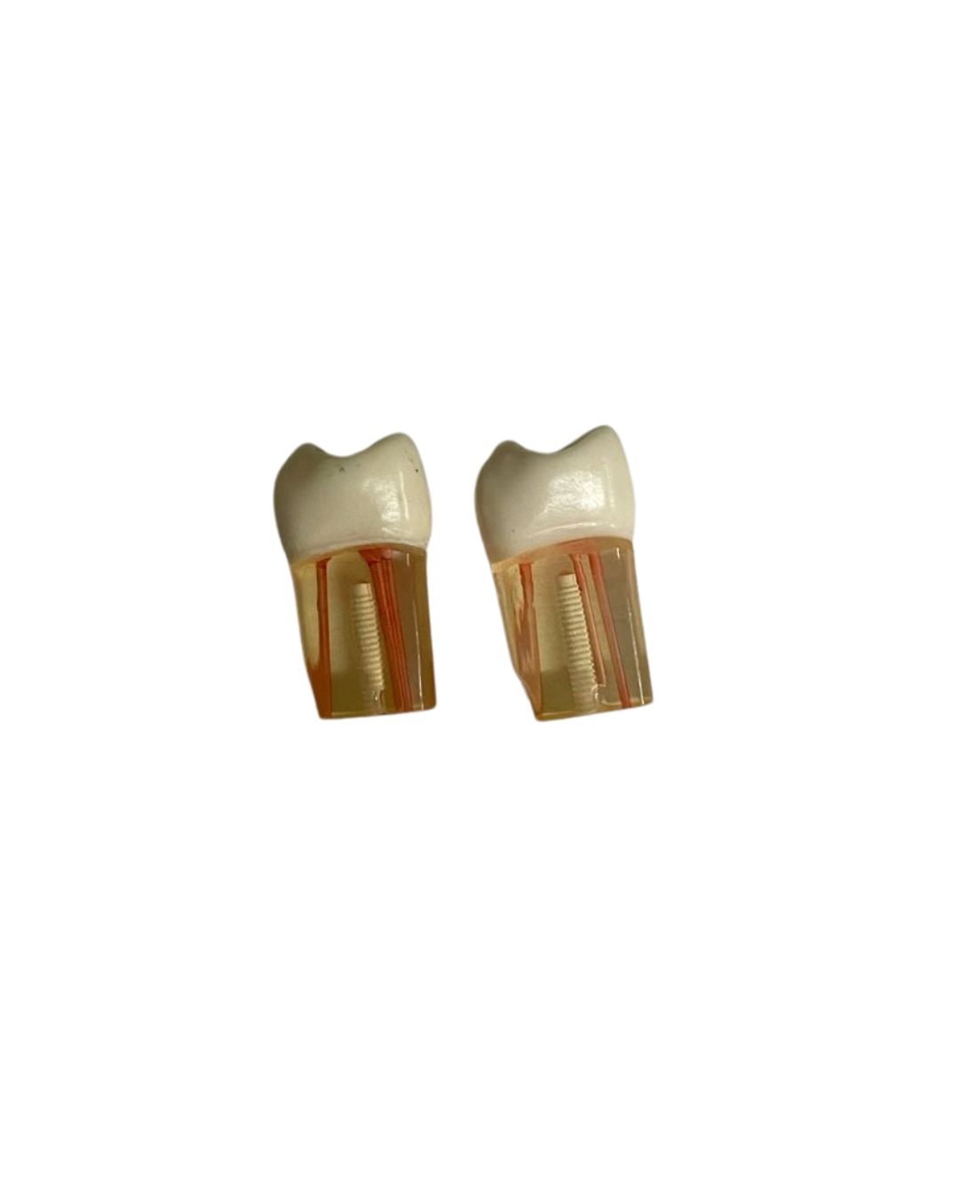 Dientes Endodoncia Nissin