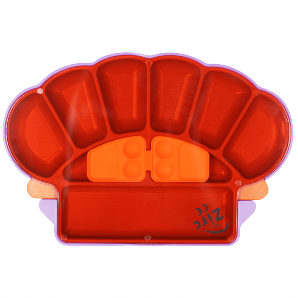 Organizador Restaurador Tipo Arcada C/Tapa UV