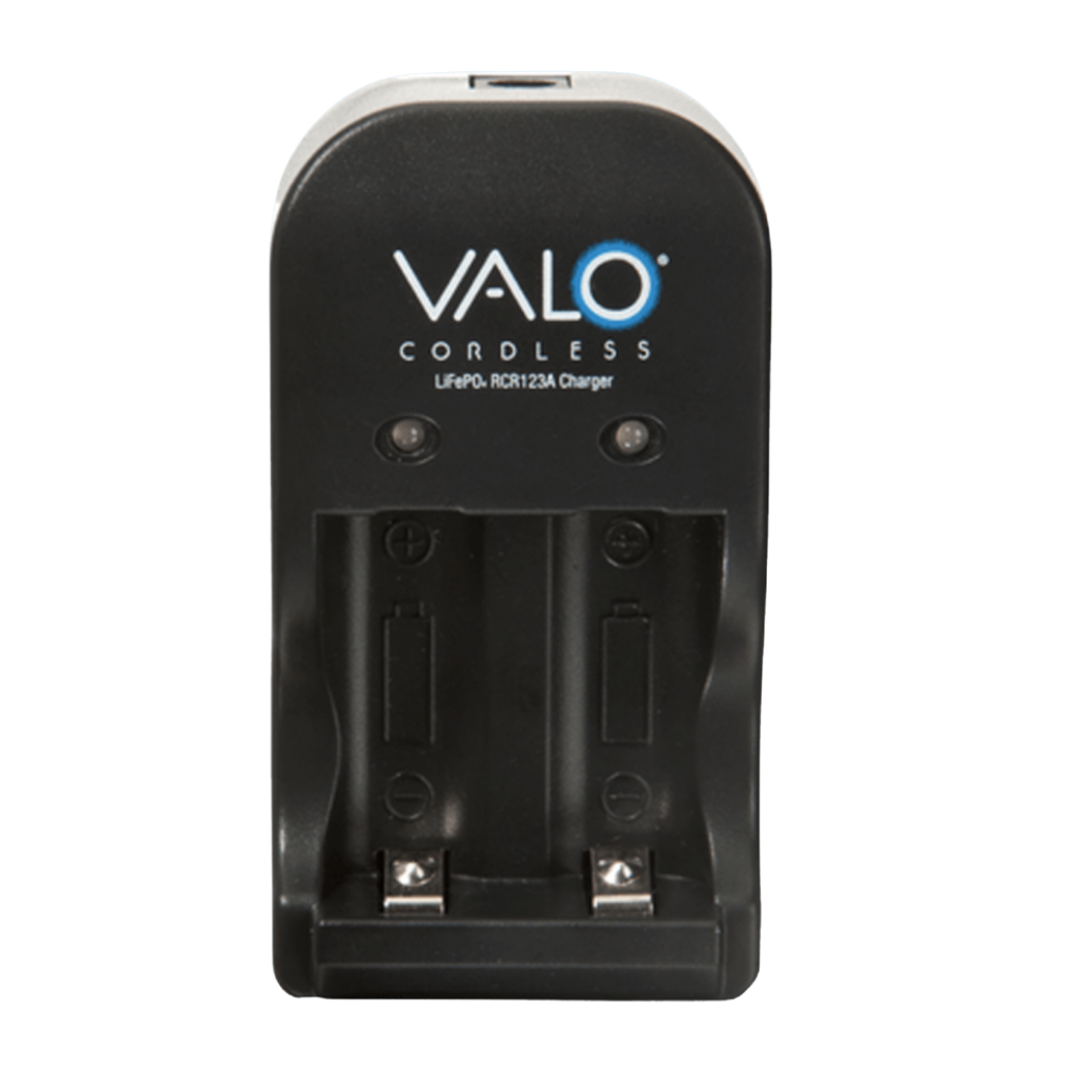 Cargador P/VALO Inalambrica